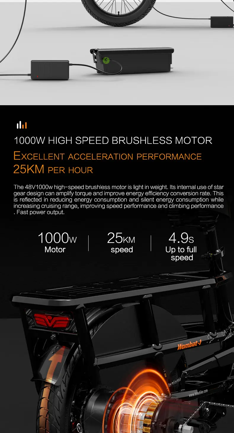 LANKELEISI Wombat-1 Adult Electric Bike 1000W 48V20AH City E-Bike 20 inch Fat fetus Non Foldable LCD Instrument Electric Bicycle