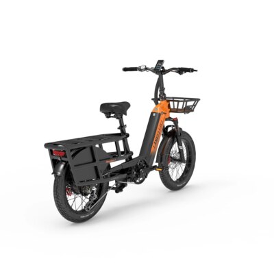 LANKELEISI Wombat-1 Adult Electric Bike 1000W 48V20AH City E-Bike 20 inch Fat fetus Non Foldable LCD Instrument Electric Bicycle - Image 4
