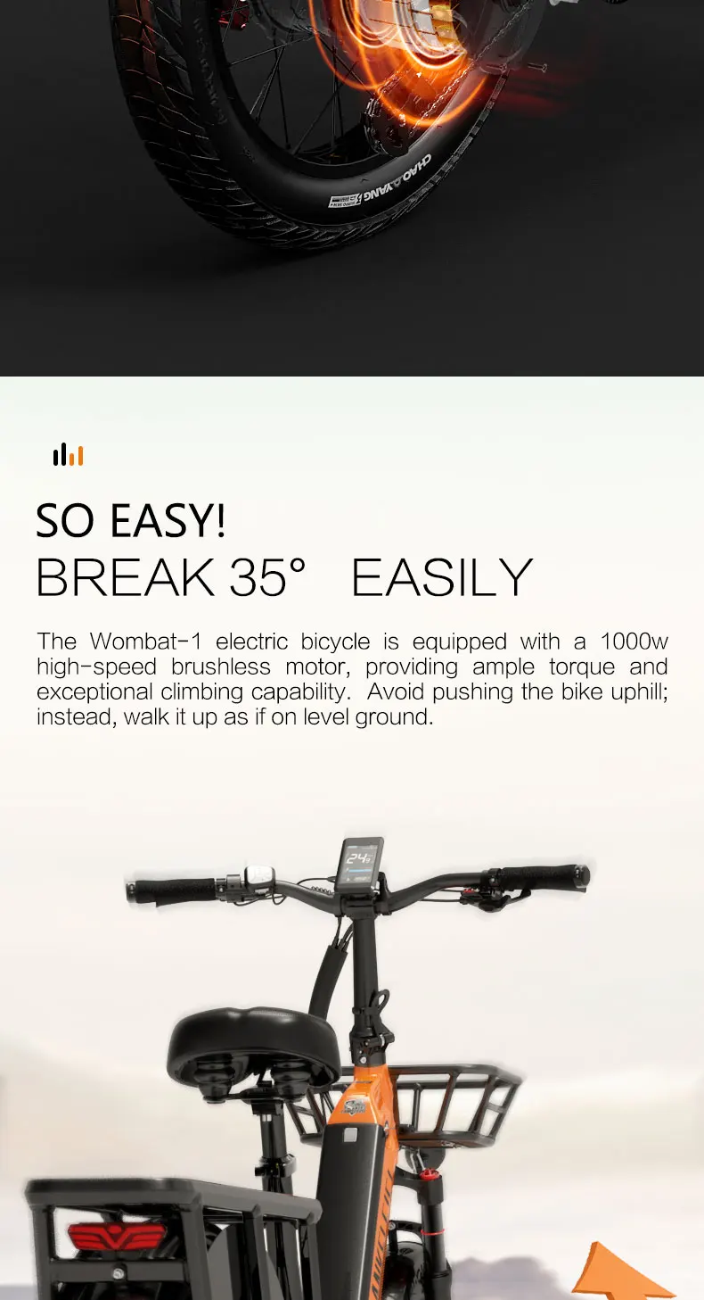 LANKELEISI Wombat-1 Adult Electric Bike 1000W 48V20AH City E-Bike 20 inch Fat fetus Non Foldable LCD Instrument Electric Bicycle