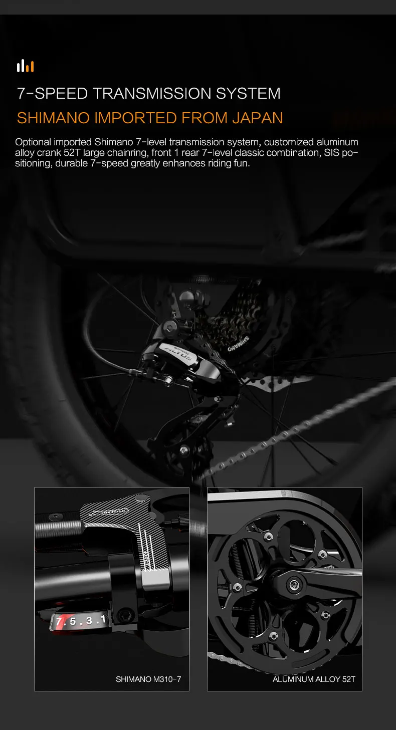 LANKELEISI Wombat-1 Adult Electric Bike 1000W 48V20AH City E-Bike 20 inch Fat fetus Non Foldable LCD Instrument Electric Bicycle