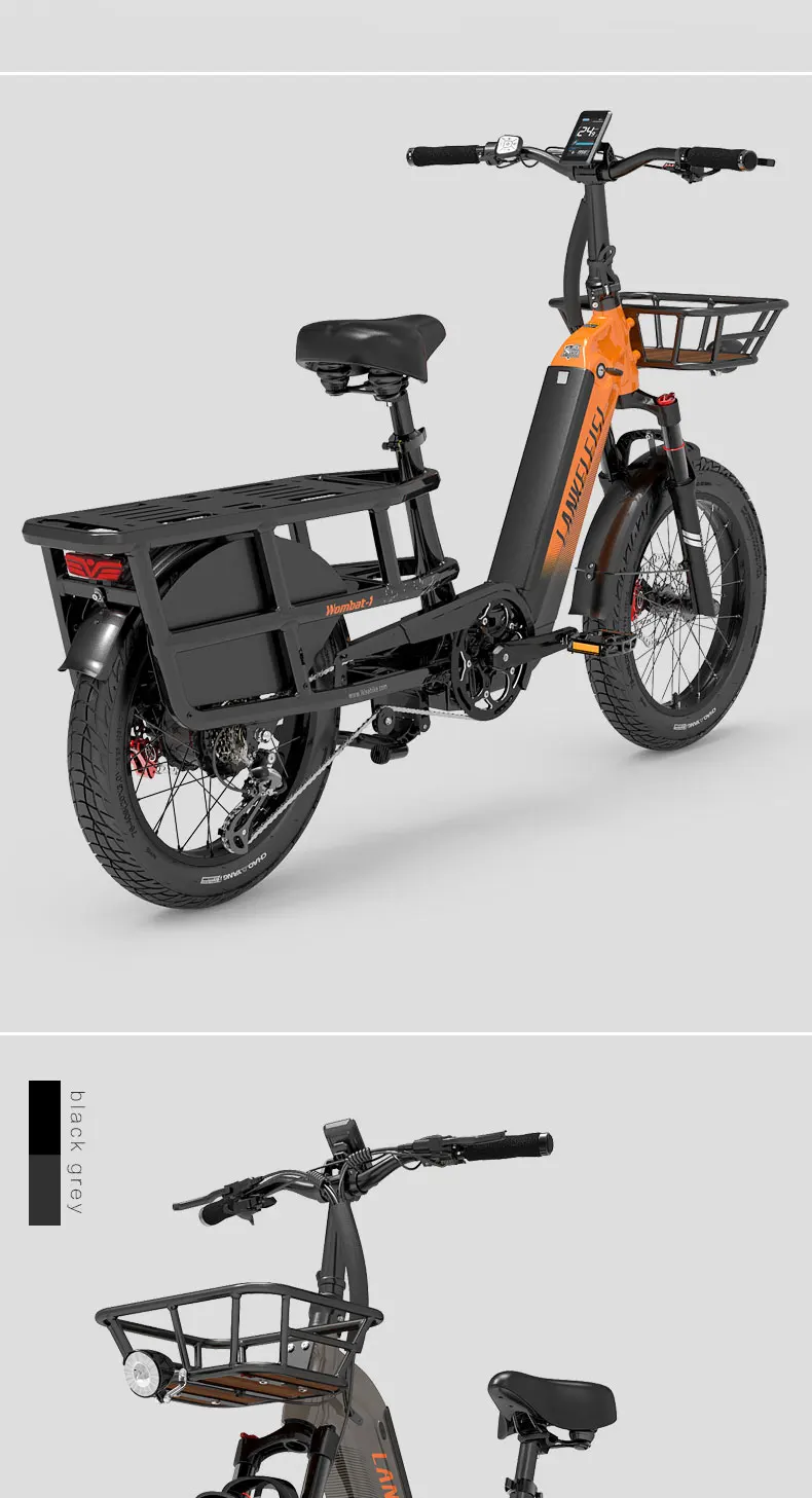 LANKELEISI Wombat-1 Adult Electric Bike 1000W 48V20AH City E-Bike 20 inch Fat fetus Non Foldable LCD Instrument Electric Bicycle