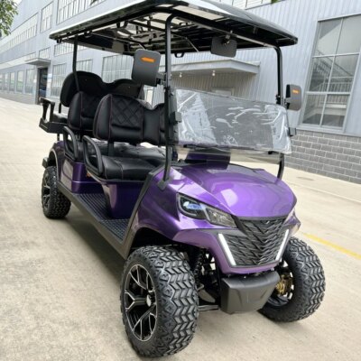 New Design Factory 6 Seat Sightseeing Bus Club Cart Electric Golf Buggy Hunting Car with Ce Dot 14 Inch Off-road Tires - Image 6
