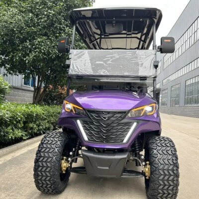 New Design Factory 6 Seat Sightseeing Bus Club Cart Electric Golf Buggy Hunting Car with Ce Dot 14 Inch Off-road Tires - Image 5