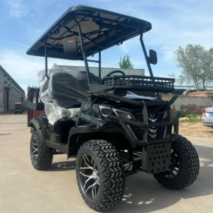 Reception Shuttle Electric Sightseeing Bus Off Road Buggy 72v Lithium Fast-Speed Golf Cart with New Custom Colors 2 4 6 8 Seat - Image 6