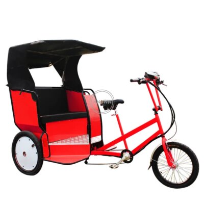 2023 T02 Pedicab Rickshaw 3 Wheel Motorized Custom Colorful Electric Pedal Taxi Bike Tricycle Price - Image 5