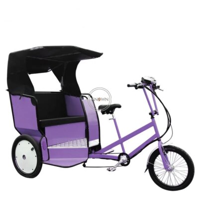 2023 T02 Pedicab Rickshaw 3 Wheel Motorized Custom Colorful Electric Pedal Taxi Bike Tricycle Price - Image 2