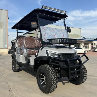 Sightseeing Bus Beach Resort Custom Durable 6 Seats Off Road Golf Car Hunting Buggy Long Endurance Electric Lifted 4+2 Golf Cart - Image 5