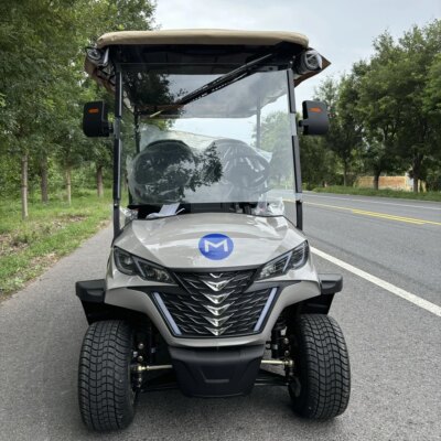 Hunting Golf Cart 2 Seats Chinese Golf Carts Tourist Bus Factory Area  Electric Golf Cart With Lithium Battery - Image 5