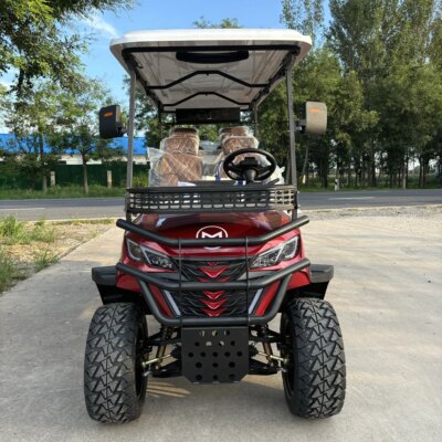 Hunting Golf Cart 2 Seats Chinese Golf Carts Tourist Bus Factory Area  Electric Golf Cart With Lithium Battery - Image 3