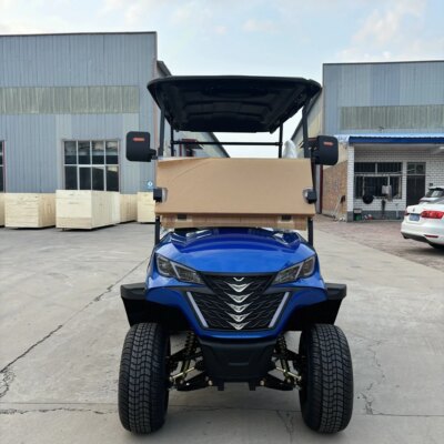 Hunting Golf Cart 2 Seats Chinese Golf Carts Tourist Bus Factory Area  Electric Golf Cart With Lithium Battery - Image 4
