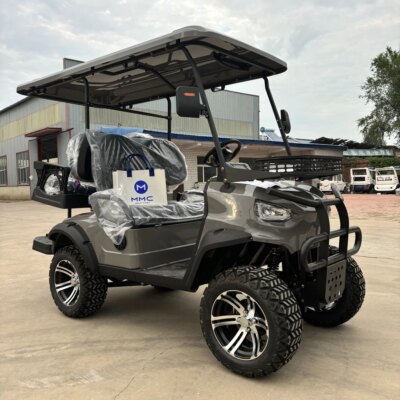 Hunting Golf Cart 2 Seats Chinese Golf Carts Tourist Bus Factory Area  Electric Golf Cart With Lithium Battery - Image 6
