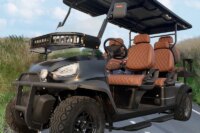 New 2 Seat Sightseeing Bus Hunting Club Golf Cart Electric Golf Buggy