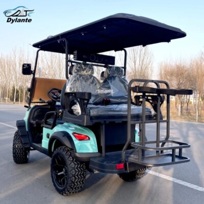 Wholesale Best New 5KW AC Motor Electric Hunting Cart Golf Cart 48/60V Lithium Club Car Practical Adult Electric Sightseeing Bus - Image 5