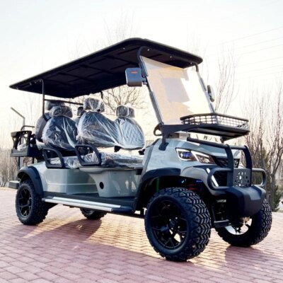 4+2 6 Seat Sightseeing Bus Club Cart Electric Golf Buggy Hunting Car with Carbon Fiber Steering Wheel