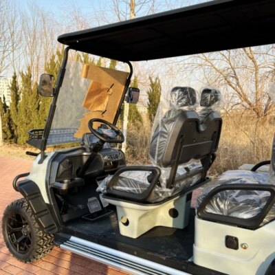 4+2 6 Seat Sightseeing Bus Club Cart Electric Golf Buggy Hunting Car with Carbon Fiber Steering Wheel - Image 6