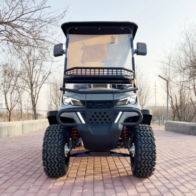 4+2 6 Seat Sightseeing Bus Club Cart Electric Golf Buggy Hunting Car with Carbon Fiber Steering Wheel - Image 2