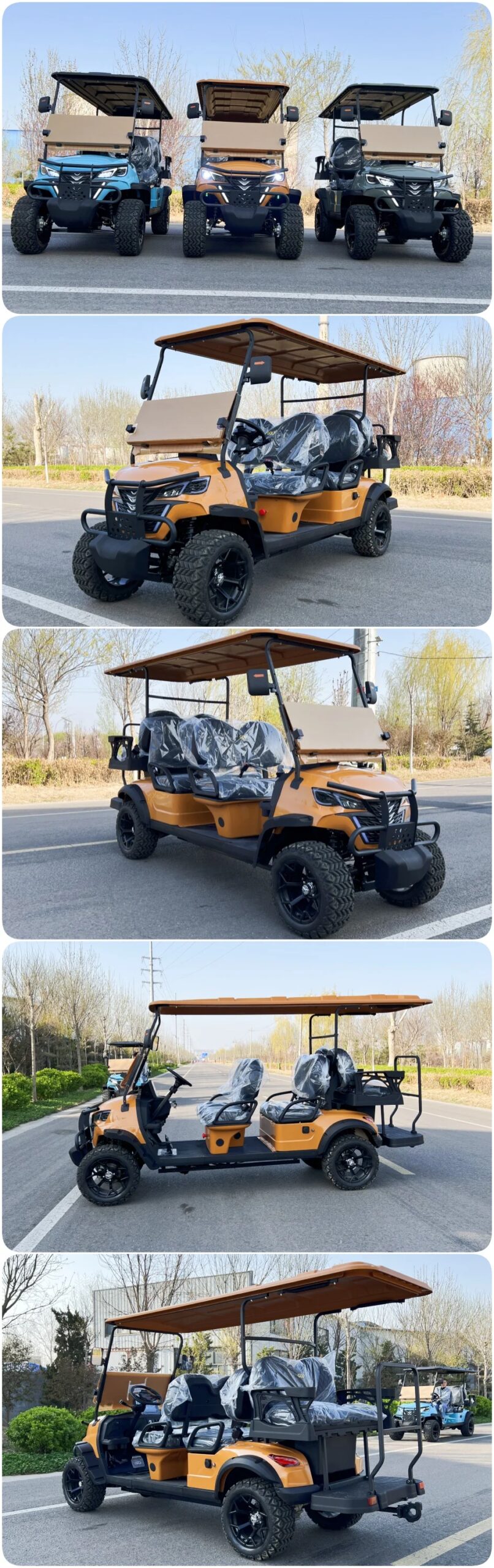 4+2 6 Seat Sightseeing Bus Club Cart Electric Golf Buggy Hunting Car with Carbon Fiber Steering Wheel
