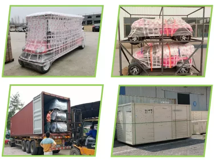 4+2 6 Seat Sightseeing Bus Club Cart Electric Golf Buggy Hunting Car with Carbon Fiber Steering Wheel