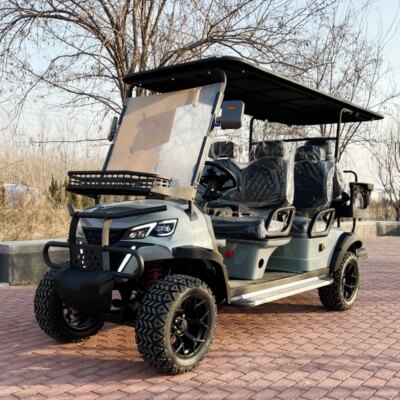 4+2 6 Seat Sightseeing Bus Club Cart Electric Golf Buggy Hunting Car with Carbon Fiber Steering Wheel - Image 5
