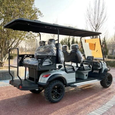 4+2 6 Seat Sightseeing Bus Club Cart Electric Golf Buggy Hunting Car with Carbon Fiber Steering Wheel - Image 3