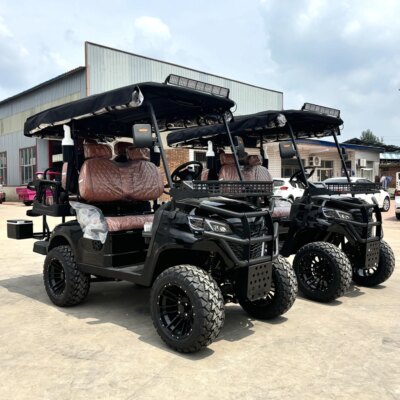 New 48V 4KW AC Motor Lifted 4 Passenger Hunter Cart Tourist Bus  Basic Edition Superior Quality Electric Community Golf Carts - Image 3