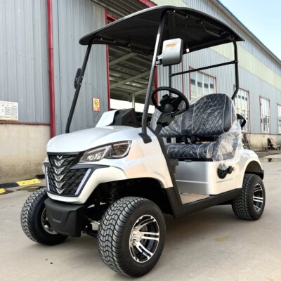 New 48V 4KW AC Motor Lifted 4 Passenger Hunter Cart Tourist Bus  Basic Edition Superior Quality Electric Community Golf Carts - Image 6