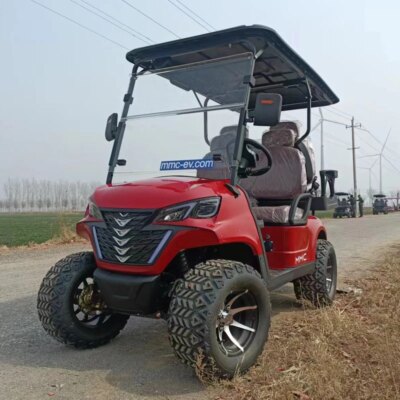 2025 New Model Style Exclusive  Factory 2 4 6 8 Seat Sightseeing Bus Club Car Hunting Cart Electric Golf Buggy Hunting Cart - Image 4