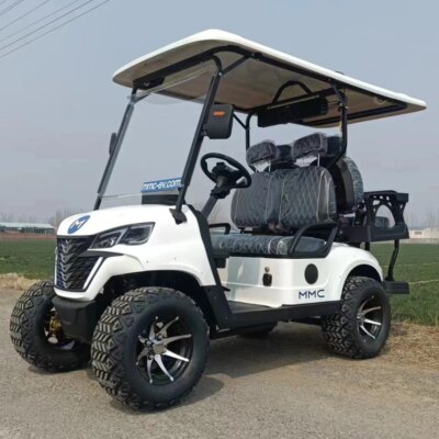 2025 New Model Style Exclusive  Factory 2 4 6 8 Seat Sightseeing Bus Club Car Hunting Cart Electric Golf Buggy Hunting Cart - Image 5
