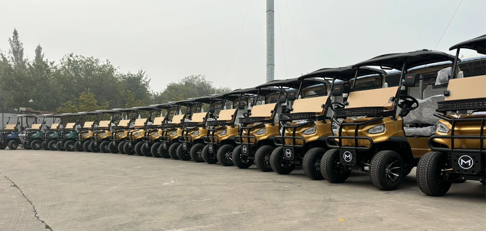 2025 New Model Style Exclusive Factory 2 4 6 8 Seat Sightseeing Bus Club Car Hunting Cart Electric Golf Buggy Hunting Cart 2025 New Model Style Exclusive Factory 2 4 6 8 Seat Sightseeing Bus Club Car Hunting Cart Electric Golf Buggy Hunting Cart