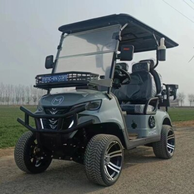 2025 New Model Style Exclusive  Factory 2 4 6 8 Seat Sightseeing Bus Club Car Hunting Cart Electric Golf Buggy Hunting Cart - Image 6