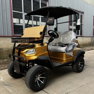 Club Car Golf Cart Electric Sightseeing Bus 4 Seater Honoured Guest Battery Operated Hunting Golf Cart - Image 2