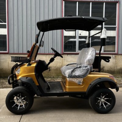 Club Car Golf Cart Electric Sightseeing Bus 4 Seater Honoured Guest Battery Operated Hunting Golf Cart - Image 4