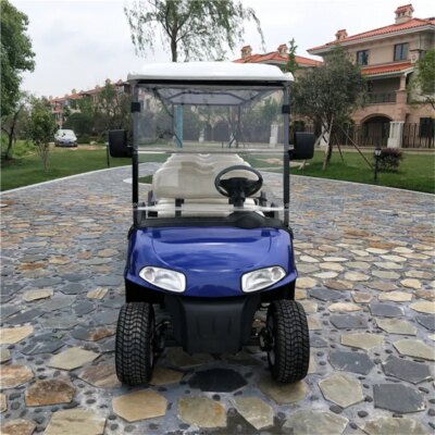 5000W Motor Tricycle  Golf Carts Trolley Electric Scenic Sightseeing Bus Touring Car with 8 Passenger - Image 3