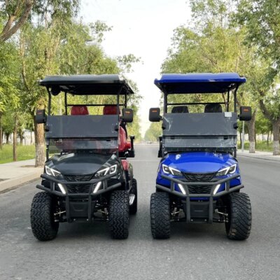 New Model Style 2/4/6 Seat Sightseeing Bus Club Cart Electric Golf Buggy Hunting Cart Custom Color Golf Buggy for Adults - Image 3
