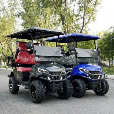 New Model Style 2/4/6 Seat Sightseeing Bus Club Cart Electric Golf Buggy Hunting Cart Custom Color Golf Buggy for Adults - Image 6