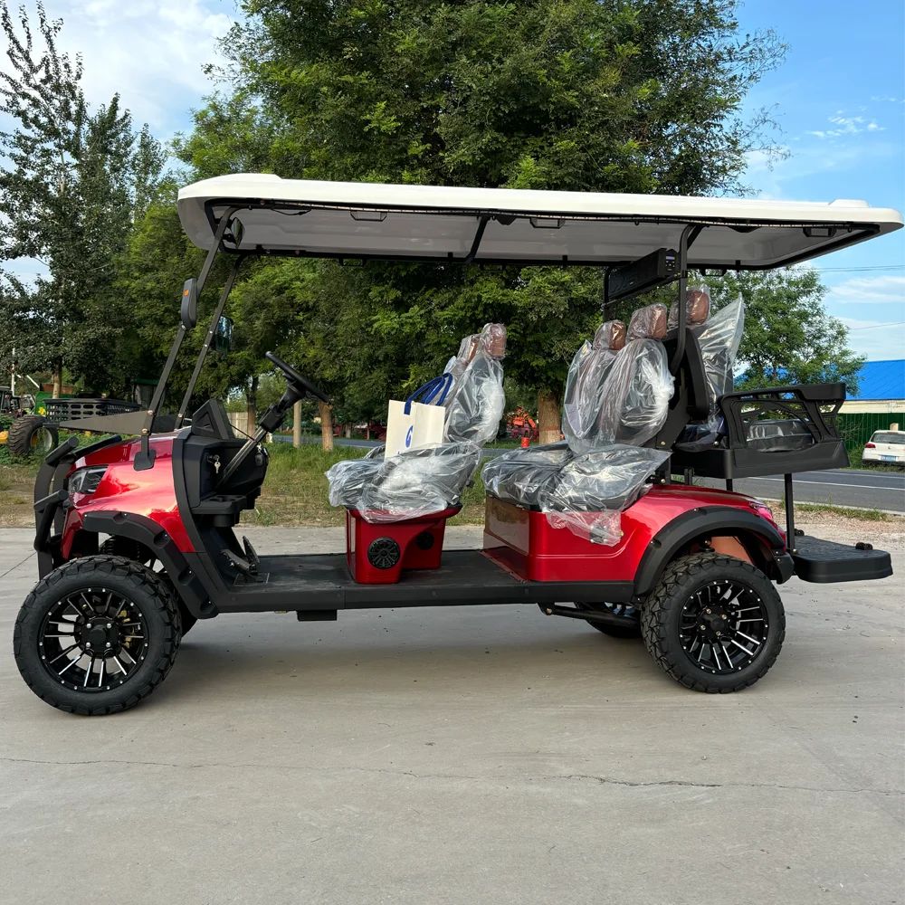 Quality Mobility Scooter Club Car 2 Seats Electric Golf Buggy 5000w Motor off Road Golf Carts with Storage Box