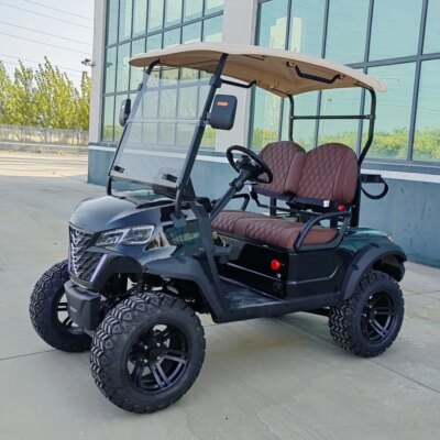 New Style 2025 Brand Design 2 Seat Sightseeing Bus Club Cart 48/72V   Electric Golf Buggy Hunting Cart with CE - Image 4