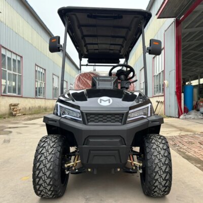 MMC Factory Price Brand New Designed 2 4 6 8 Seater 48V 60V 72V Battery Operated Golf Buggy4000W/15000W Electric Golf Cart - Image 3