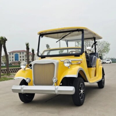 Resort Hotel Use 8 Passenger 11 Seater Utility Car Electric Golf Cart Vintage Electric Sightseeing Car with Door - Image 2