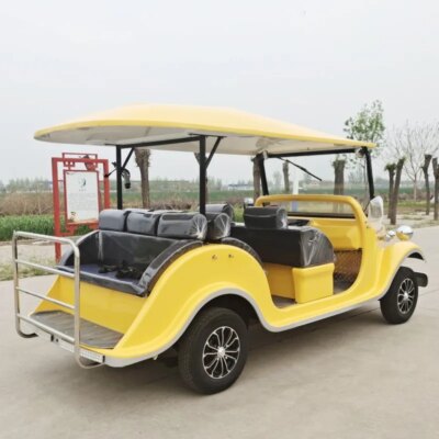 Resort Hotel Use 8 Passenger 11 Seater Utility Car Electric Golf Cart Vintage Electric Sightseeing Car with Door - Image 4