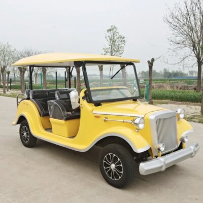 Resort Hotel Use 8 Passenger 11 Seater Utility Car Electric Golf Cart Vintage Electric Sightseeing Car with Door - Image 3