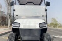 Electric Golf Cart Hot Sale Customized 2 Seat Club VIP Modern Fashion Adult Electric Car Free Customized Color Golf Scooter