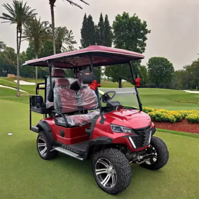 2024 New Model Luxury 4 Seats Off-Road Electric Golf Cart For Sale - Image 3