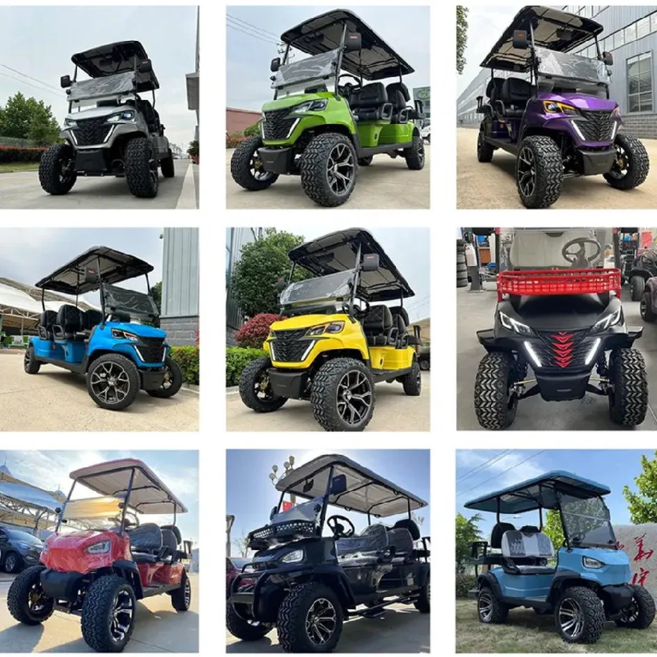 New Style 2025 Brand Design 2 Seat Sightseeing Bus Club Cart 48/72V Electric Golf Buggy Hunting Cart with CE New Style 2025 Brand Design 2 Seat Sightseeing Bus Club Cart 48/72V Electric Golf Buggy Hunting Cart with CE