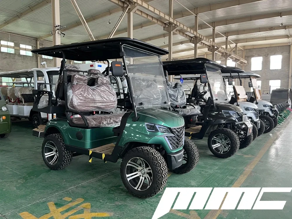6 Seater Electric Golf Club Car with CE Certification and 48V Battery