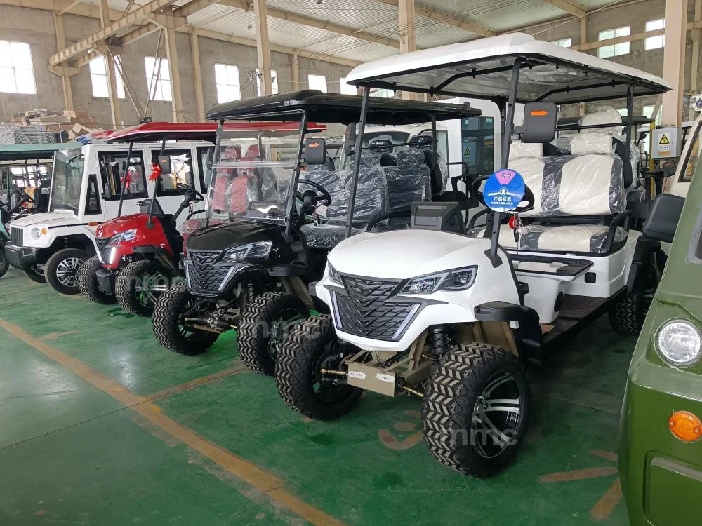6 Seater Electric Golf Club Car with CE Certification and 48V Battery