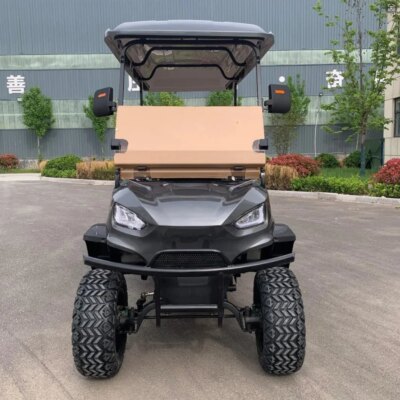 4 Wheel Adult Golf Buggy Car Lithium Battery Powered Golf Cart Off Road Tire Street Legal 6 Passenger Electric Golf Cart - Image 5