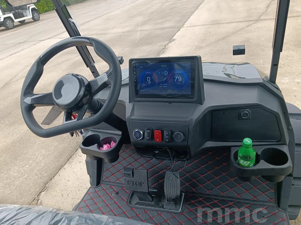 4 Wheel Adult Golf Buggy Car Lithium Battery Powered Golf Cart Off Road Tire Street Legal 6 Passenger Electric Golf Cart