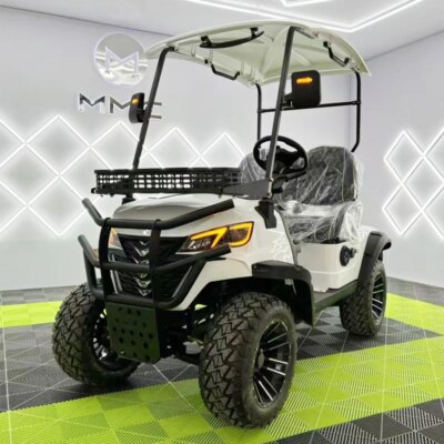 High Quality 4000W 48V Long Range Electric Golf Cart 14 Inch Tire Family 4 Wheel Electric Buggy Golf Cart - Image 2