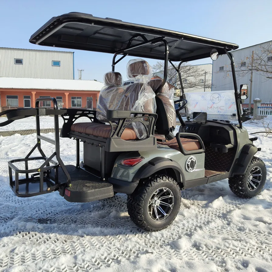 High Quality 4000W 48V Long Range Electric Golf Cart 14 Inch Tire Family 4 Wheel Electric Buggy Golf Cart